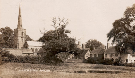 South view