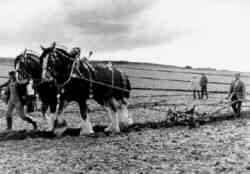 Ploughing