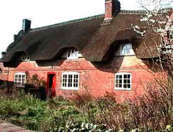 Thatched cottage